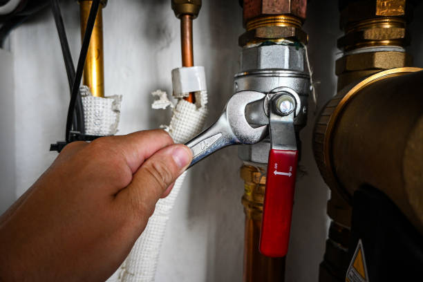 Best 24-Hour Plumber Near Me  in Beverly Hills, FL